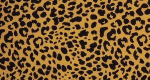 Leopardenmuster Ocker