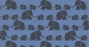 Junge Linie Elefanten